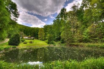 Blue Ridge Shimmering Leaf Farmhouse