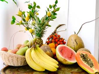 Coronado Inn Hotel, Restaurante & Bar