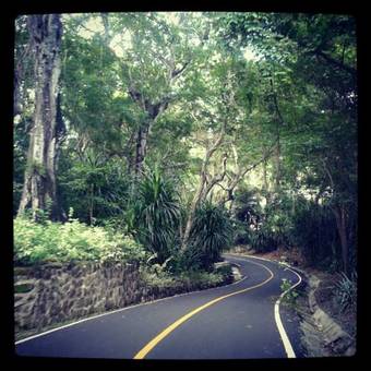 Hibiscus House Bed And Breakfast