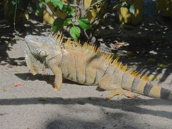 Hostal One World Rentals