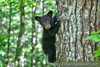 Diamond In The Rough Holiday Home