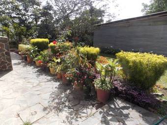 Bed & Breakfast Hotel Las Orquideas