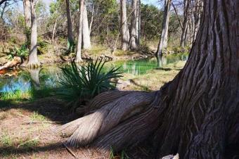 Deer Run- Creekhouse