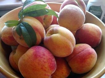 Tentrr - Medomak River Farm