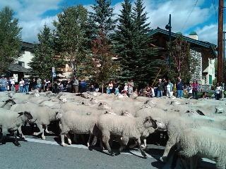 Hotel Best Western Plus Kentwood Lodge