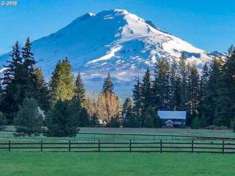 Day Dreamer On Cedar Spring