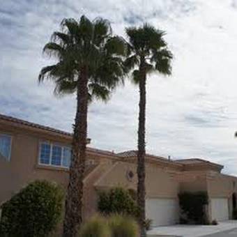 Hotel Raintree's Cimarron Golf Resort Palm Springs