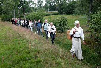 Albergue Stf Korr� B&B