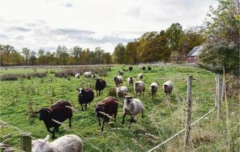 Two-bedroom Holiday Home In Jamjo