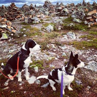 Apartamento Storbo Adventure Camp