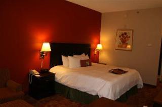 Hotel Hampton Inn Rome