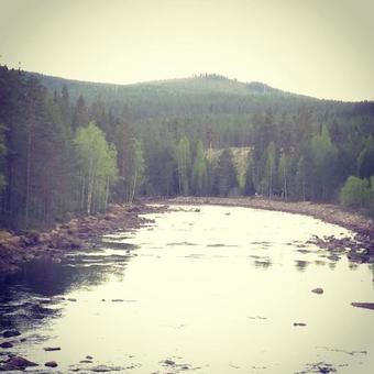 Bushcraftevents Stuga