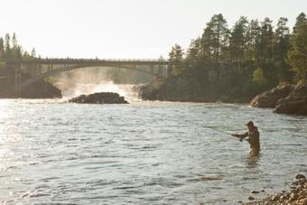 Jockfall Holiday Home