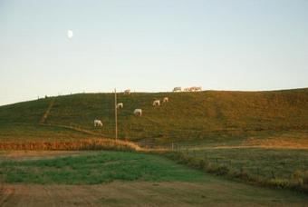 Bed & Breakfast Vallebergasl�tt