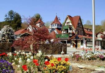 Black Forest B&B