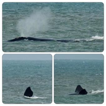 Hostal Pousada Dos Sambaquis