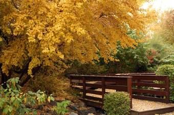 Hotel Courtyard By Marriott Provo