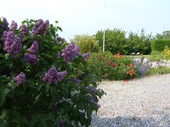 Klintholm Bed & Breakfast