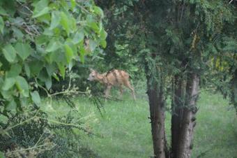 Apartamento Haveh�jegaard