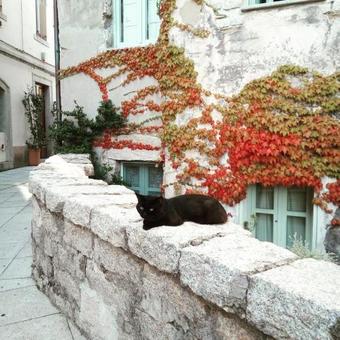 Hostal Locanda Li Manni