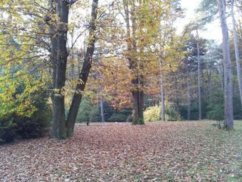 B&B Il Giardino Delle Cince