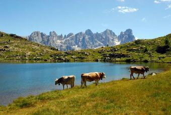 Apartamento La Casa Verde