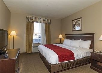 Hotel Comfort Suites Seaford