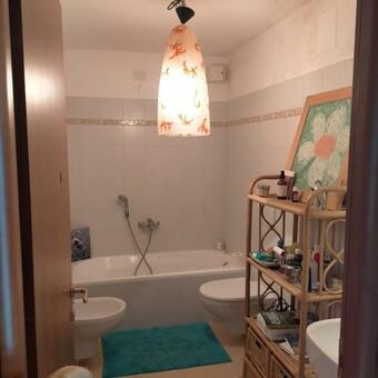 The House In The Green