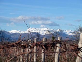 Agroturismo Tenuta Perusini