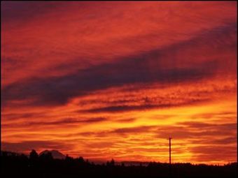 Hotel Peppermill Empress Inn