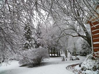 Bed & Breakfast Inn On The Moraine