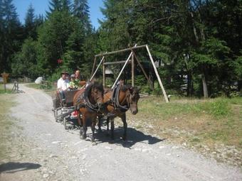 Hostal Penzion Stodolisko