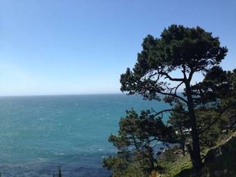 Posada Timber Cove Inn