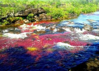 Ca�o Cristales Hostel