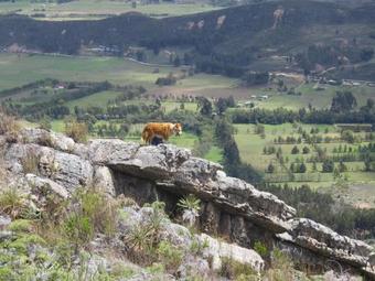 Agroturismo Hacienda Santa Rosita