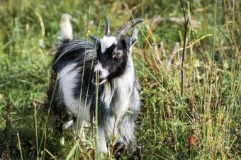 Hotel R�m�kk� Holidays