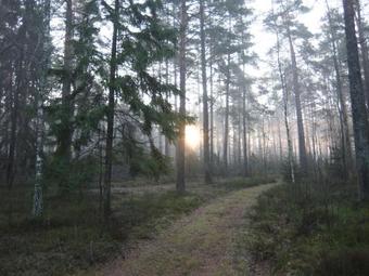 Agroturismo Tikhiy Dom