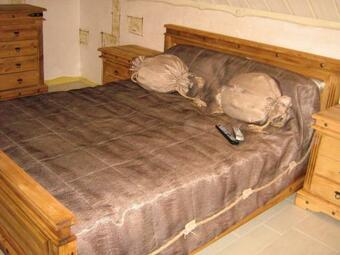 Country Club Festivalny