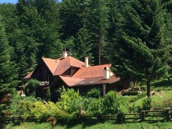 Bed & Breakfast Holiday Home Tonkina Ku?a