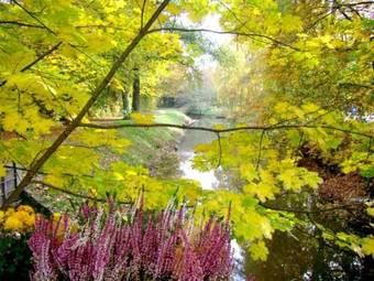 Akzent Hotel Saltenhof