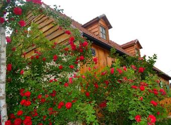 Holiday Home Stara Lika