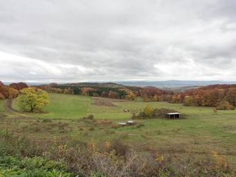 Quaint Holiday Home With Private Balcony In Trusetal