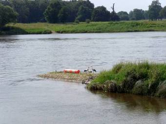Hostal Elbterrassen Zu Brambach