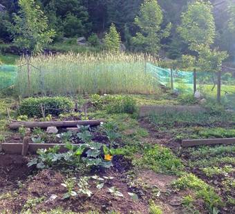 Apartamento Appartamento Casa Weisstor