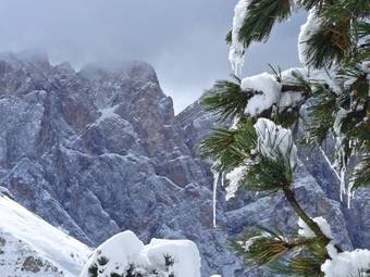 Apartamento Living Puez