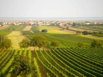 Hostal Weingut & Pension Zum Seeblick Familie Sattler