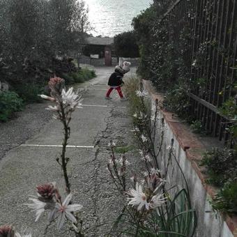 B&B Cala Del Rio