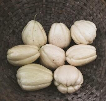 Agroturismo Suma Aavaas Farm And Homestay