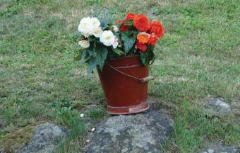 Holiday Home Eichgrabenweg