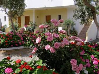 Apartamento Paradisos